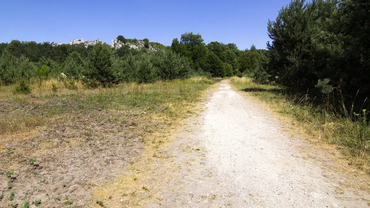 Droga przez las prowadzi do skalistych wzniesień. To ścieżka w centrum dziedzictwa przyrodniczego i kulturowego Jury.