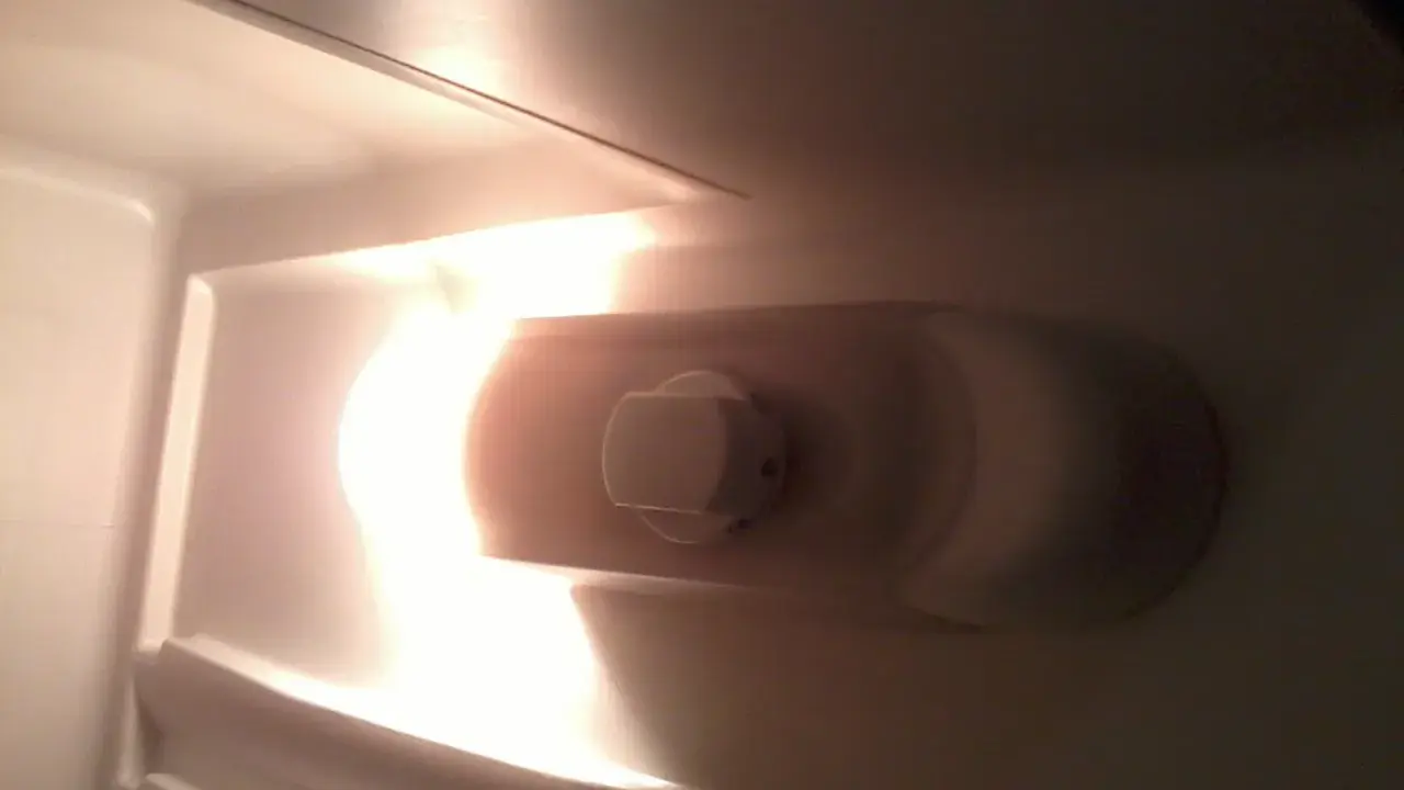 Wnętrze lodówki Whirlpool, widoczny uchwyt żarówki. Dowiedz się, jak wymienić żarówkę w lodówce Whirlpool.