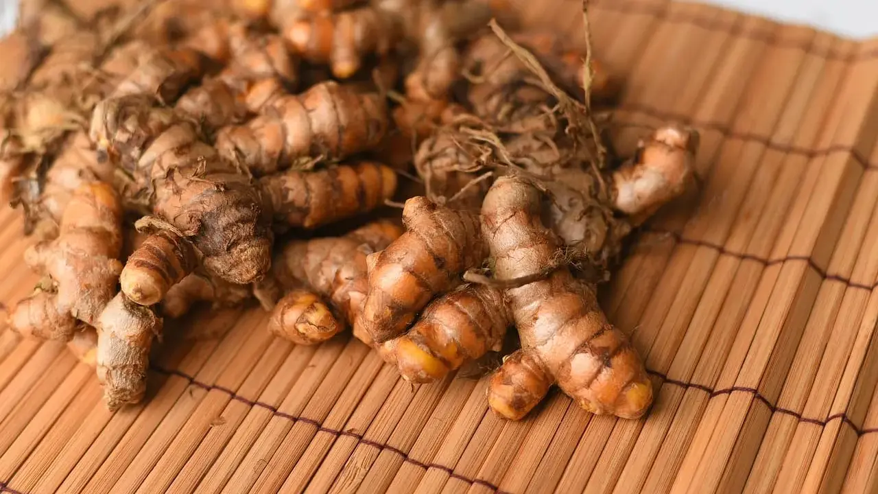 Kłącza kurkumy, znanej jako turmeric co to, leżą na bambusowej macie.