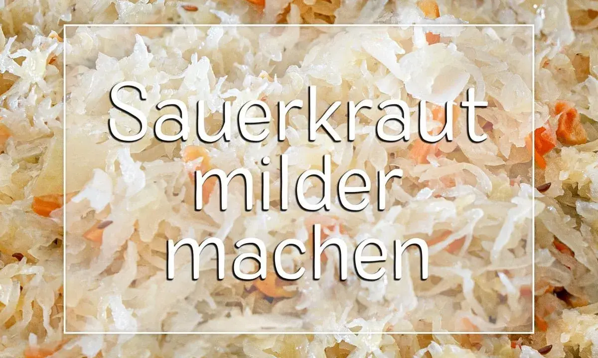 Sauerkraut zu sauer? Hier erfährst du, wie du es milder machst. Nahaufnahme von Sauerkraut mit Karottenstückchen.