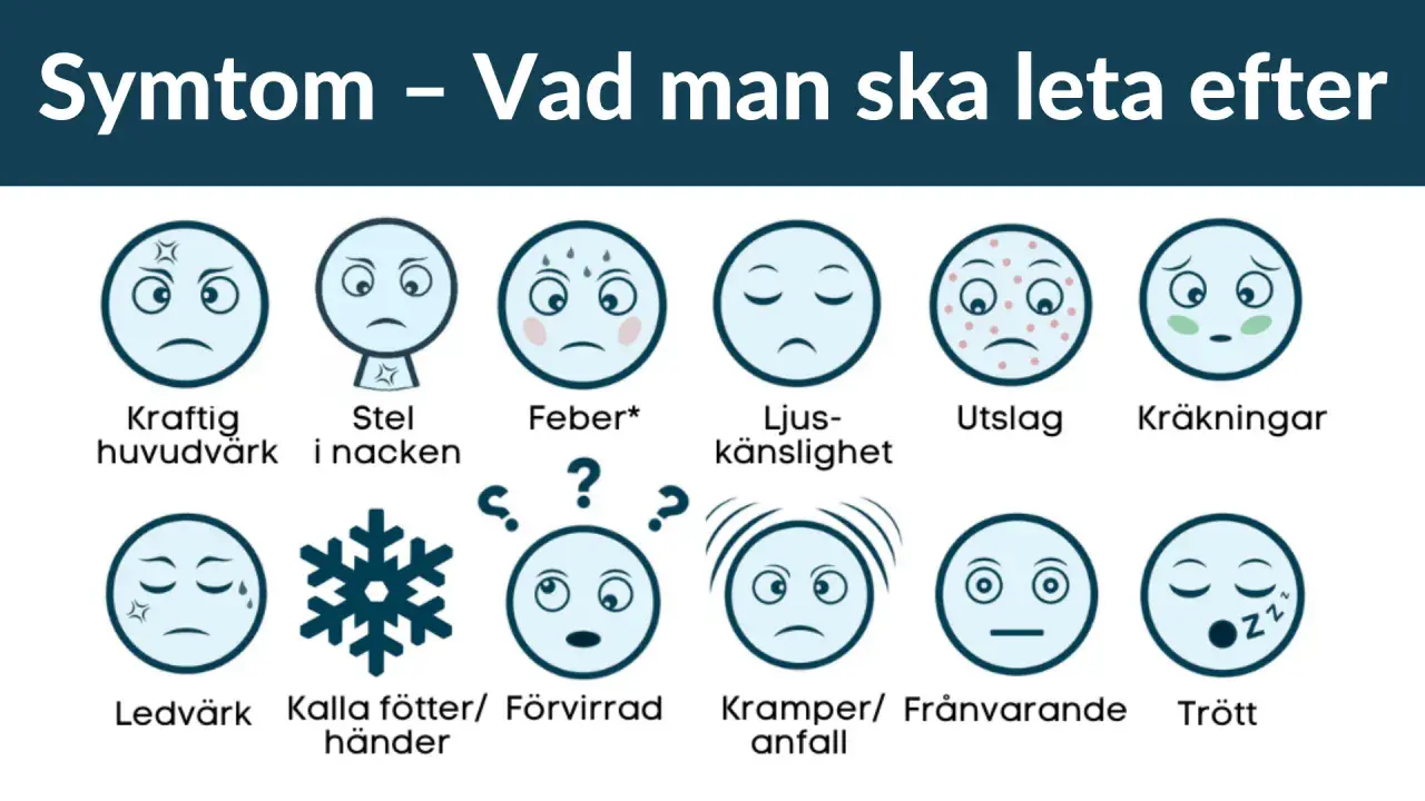 Symtom på tsetseflugan sjukdom: huvudvärk, stel nacke, feber, ljuskänslighet, utslag, kräkningar, ledvärk, kalla händer/fötter, förvirring, kramper, frånvaro, trötthet.
