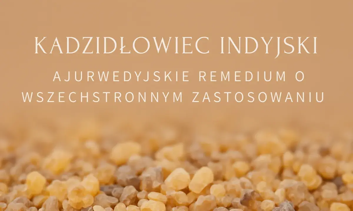 Kadzidłowiec: skutki uboczne? Zanim zażyjesz, poznaj ryzyko!
