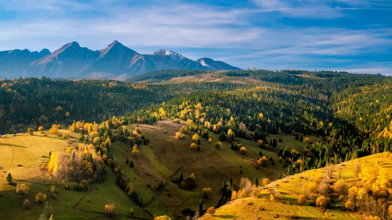 Jesienne Tatry Słowackie zachwycają kolorami. Widok na łagodne wzgórza i lasy, idealne na szlaki dla średnio zaawansowanych.