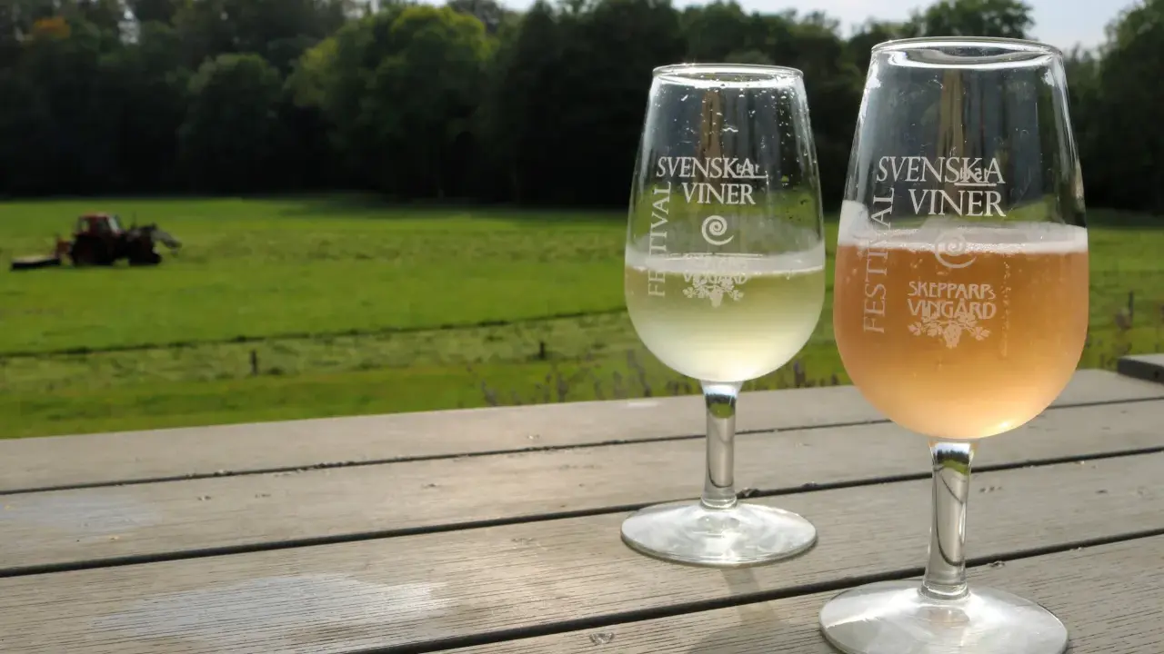 Två glas med bubbel står på ett träbord med utsikt över ett fält och skog. Ett av glasen är märkt "Skepparps Vingård".