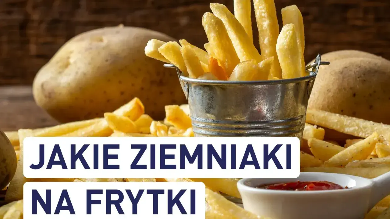 Złociste frytki w metalowym wiaderku, obok surowe ziemniaki i ketchup. Idealne ziemniaki na frytki to podstawa chrupiącej przekąski.