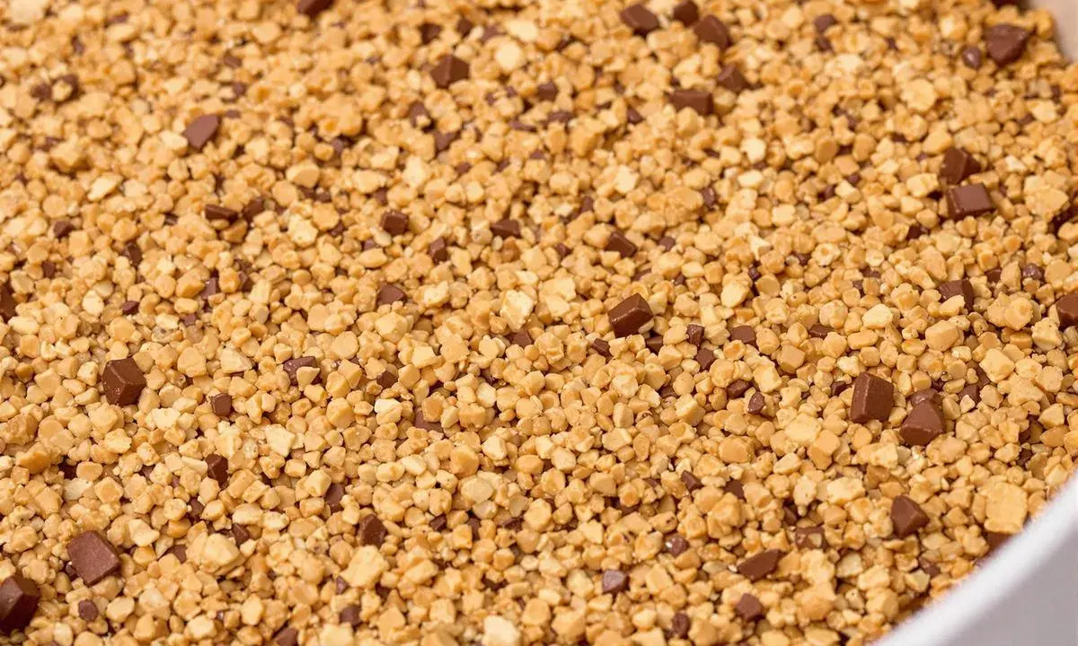 Fond de gâteau Marmiton : un mélange gourmand de biscuit croustillant émietté et de pépites de chocolat pour une texture parfaite.