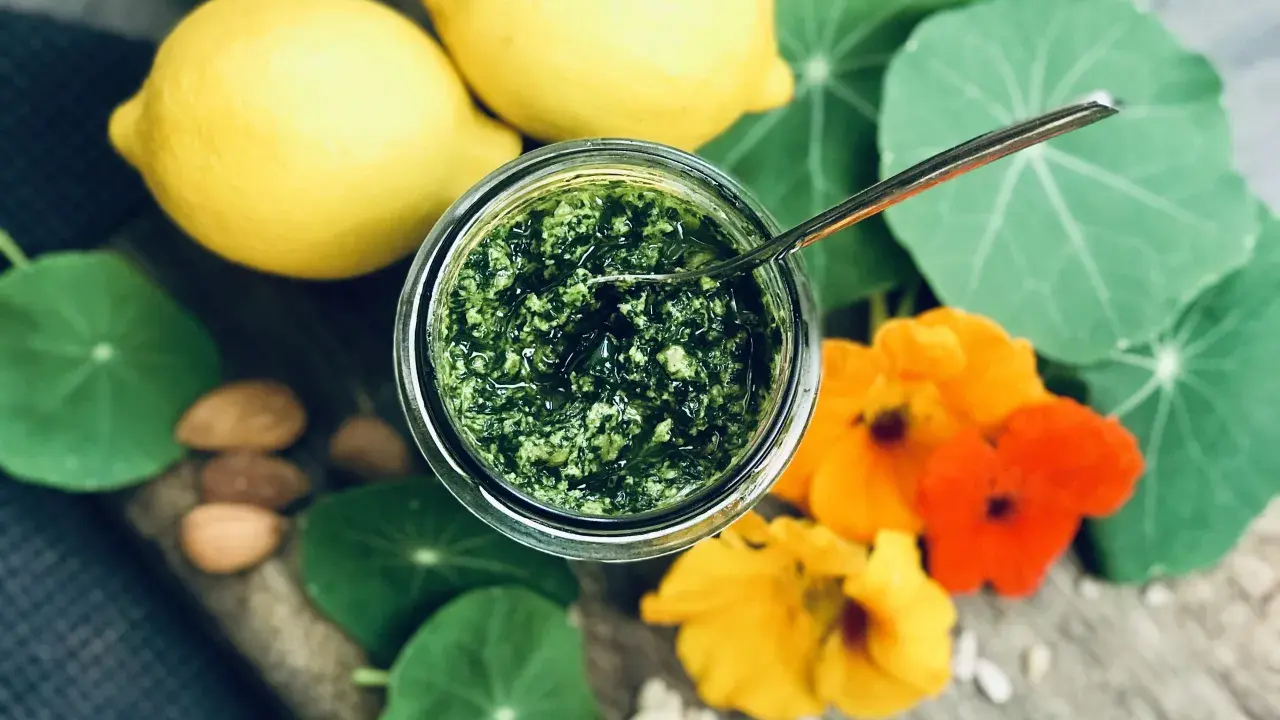 Frisches Pesto aus Kapuzinerkresse, garniert mit Zitronen, Nüssen und Blüten. Ein Genuss zum Kapuzinerkresse essen!