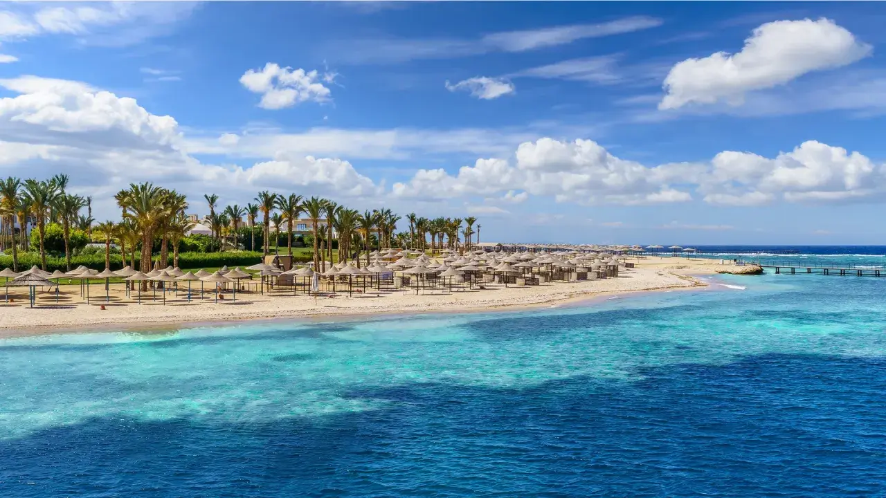 Piękna plaża w Marsa Alam, luty. Słoneczna pogoda, palmy, leżaki i turkusowe morze.