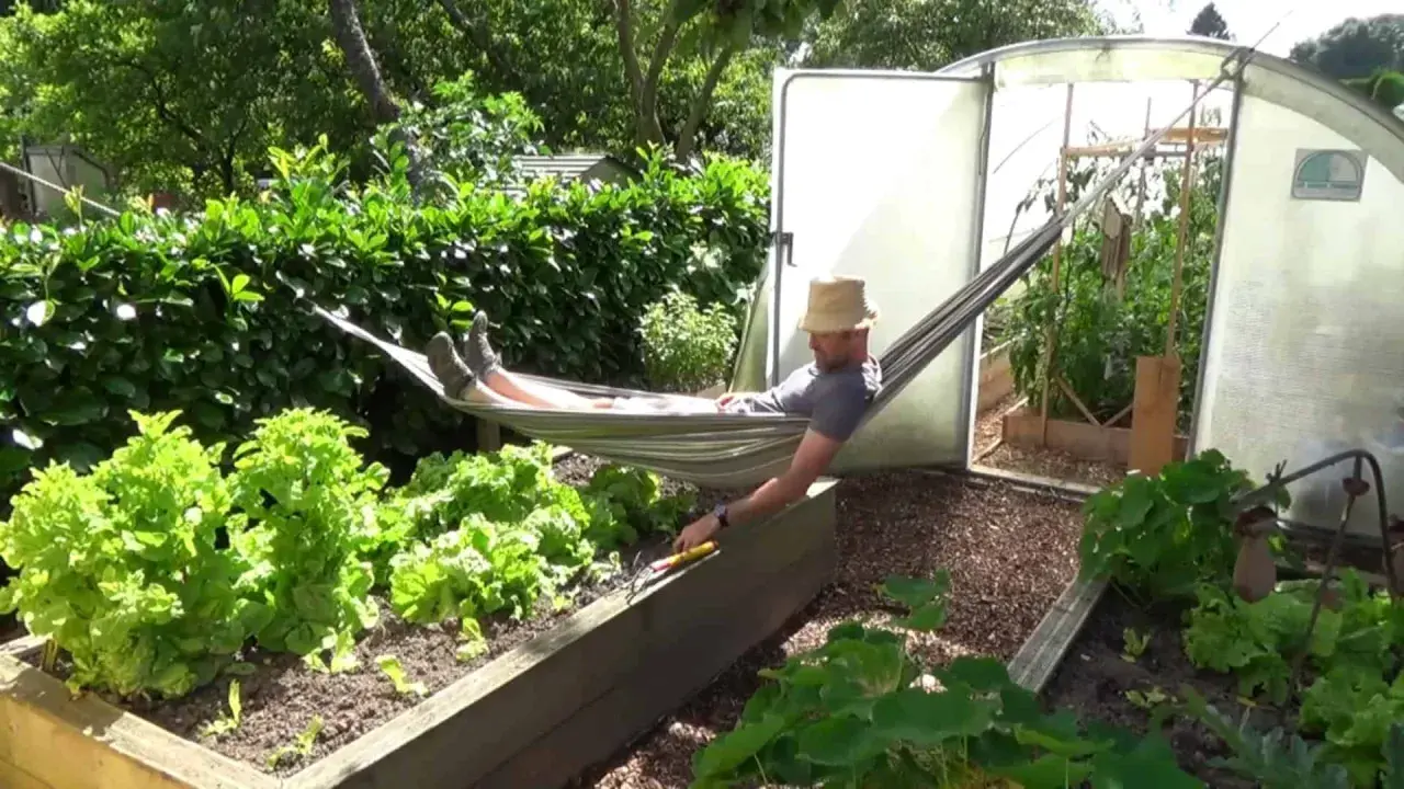 Un homme se repose dans un hamac, entouré de son potager florissant. Il a bien mérité cette pause après avoir passé du temps à faire un potager.