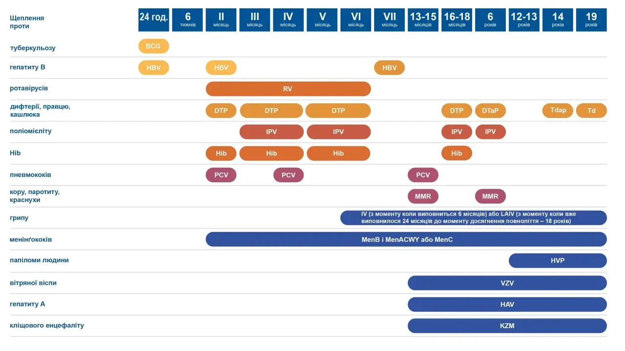 Harmonogram szczepień wzw b i innych chorób: BCG, HBV, RV, DTP, IPV, Hib, PCV, MMR, HVP, VZV, HAV, KZM.
