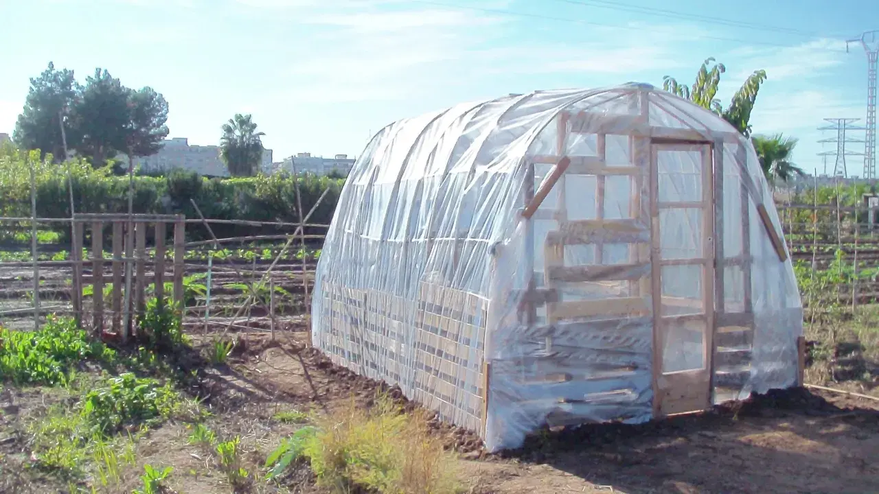 Un invernadero casero con palets protege cultivos. Su estructura de madera y plástico transparente crea un microclima ideal.