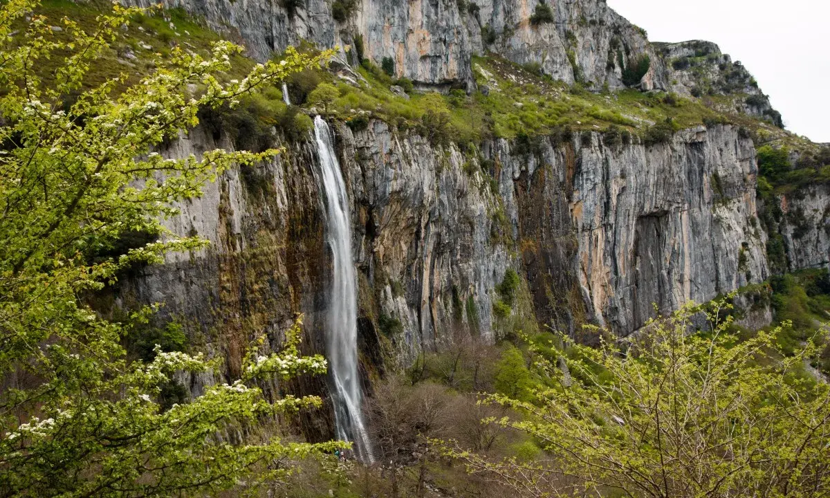 Impresionante cascada en el nacimiento del río Asón, cayendo por un acantilado rocoso cubierto de vegetación verde y flores blancas.