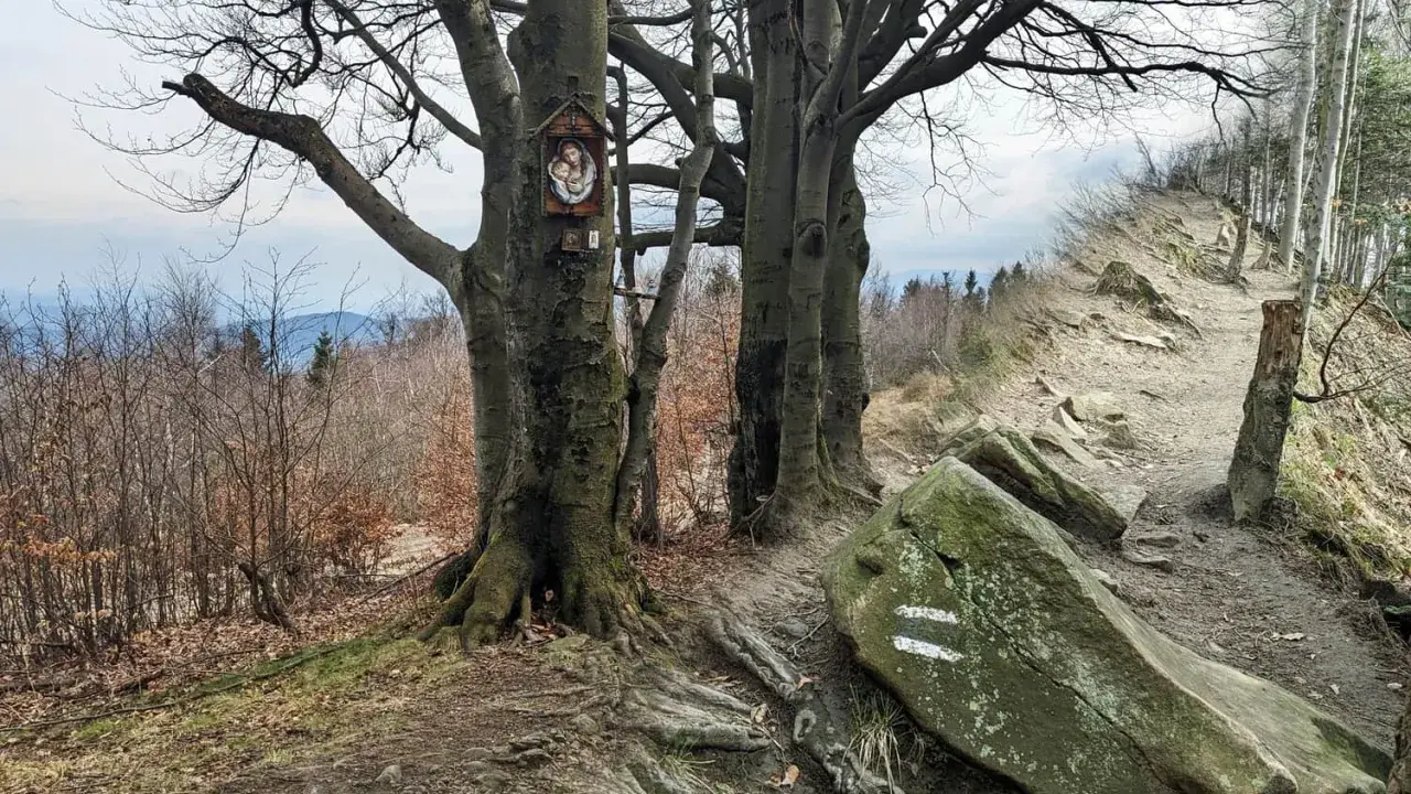 Kapliczka na drzewie przy kamienistej trasie na Leskowiec. Szlak prowadzi przez las, z widokiem na góry.