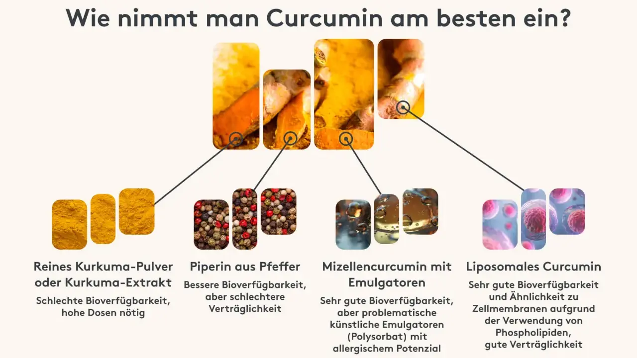 Kurkuma wie einnehmen: Pulver, Pfeffer, Mizellen oder liposomales Curcumin. Die Grafik zeigt verschiedene Formen und deren Bioverfügbarkeit.