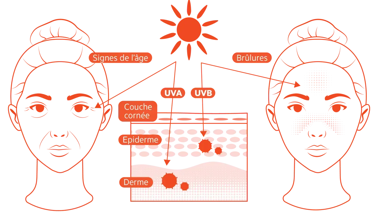 Le soleil émet des rayons UVA et UVB qui causent des signes de l'âge et des brûlures sur la peau.