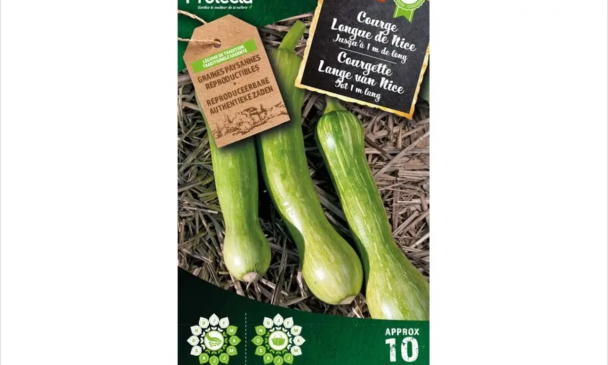 Trois courgettes longues de Nice, vertes et rayées, sur un lit de paille. Sachet de graines Protecta.