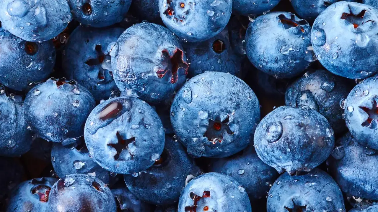 Frische Heidelbeeren mit Wassertropfen, bereit für süße Leckereien.