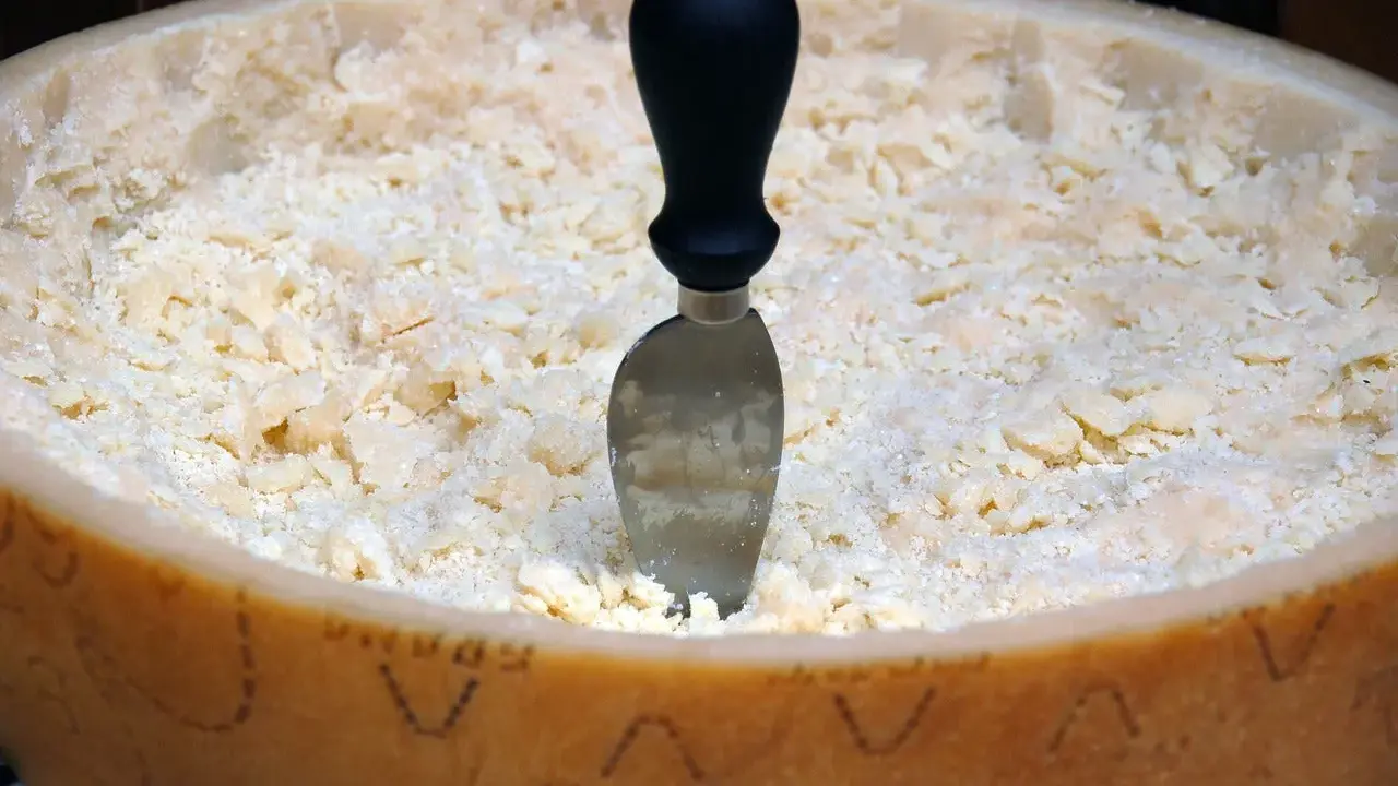 Ein Parmesanrad mit einem Messer, bereit zum Portionieren. Der Unterschied zwischen Parmesan und Pecorino ist oft im Geschmack und der Textur zu finden.