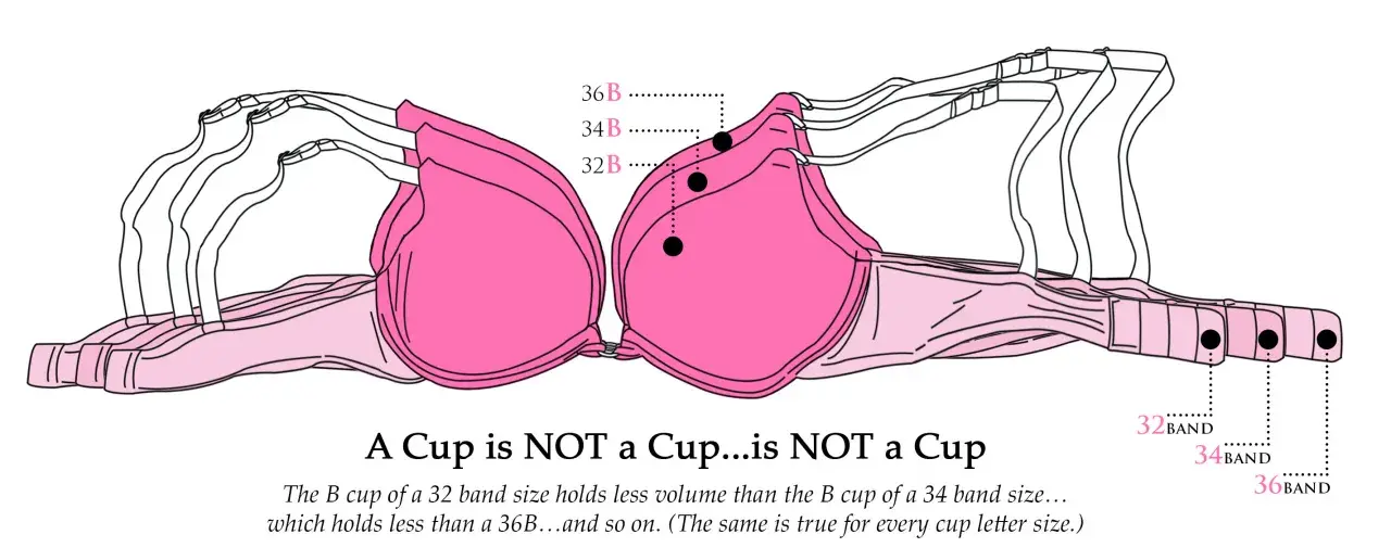 Illustrazione di reggiseni rosa sovrapposti che mostra come la taglia reggiseno 34 a cosa corrisponde in termini di volume della coppa rispetto ad altre taglie.