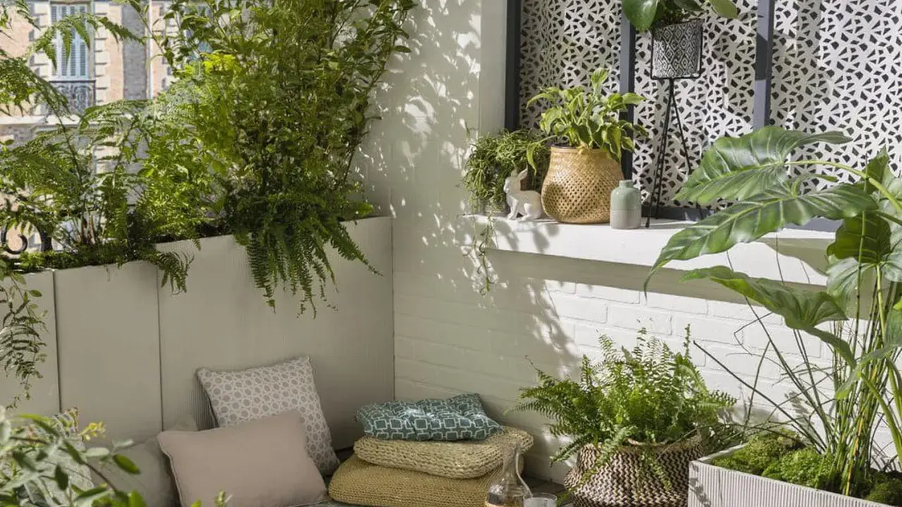 Un coin détente sur un balcon avec une plante brise-vue qui pousse vite en bac, des coussins et des plantes vertes.