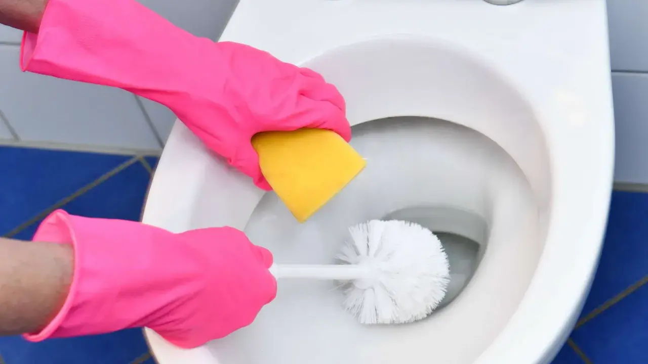 Hände in pinken Handschuhen reinigen die Toilette mit einer Bürste und einem Schwamm. Soda ist ein tolles Hausmittel zur Toilette mit Soda reinigen.
