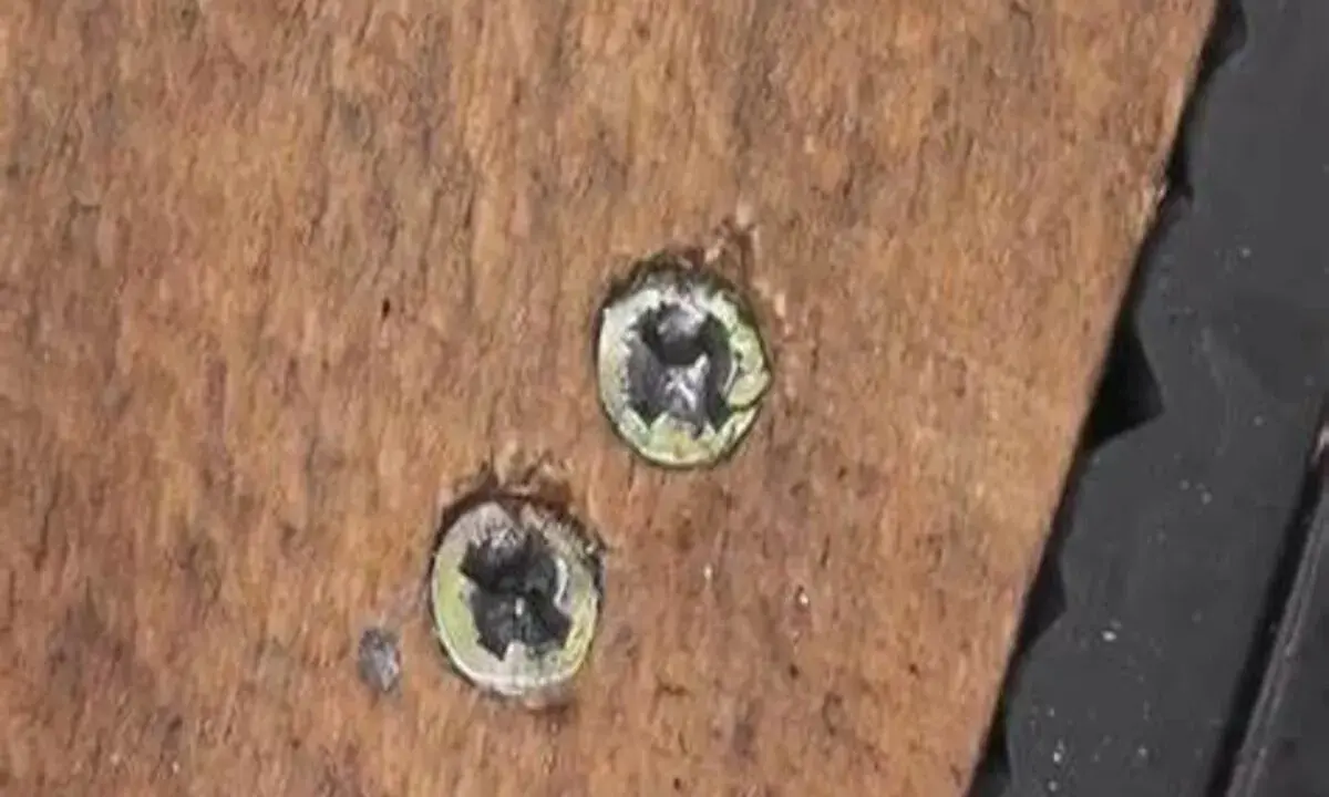 Dos tornillos pasados de rosca en madera. Aprende como quitar un tornillo pasado de rosca en metal con estos consejos.