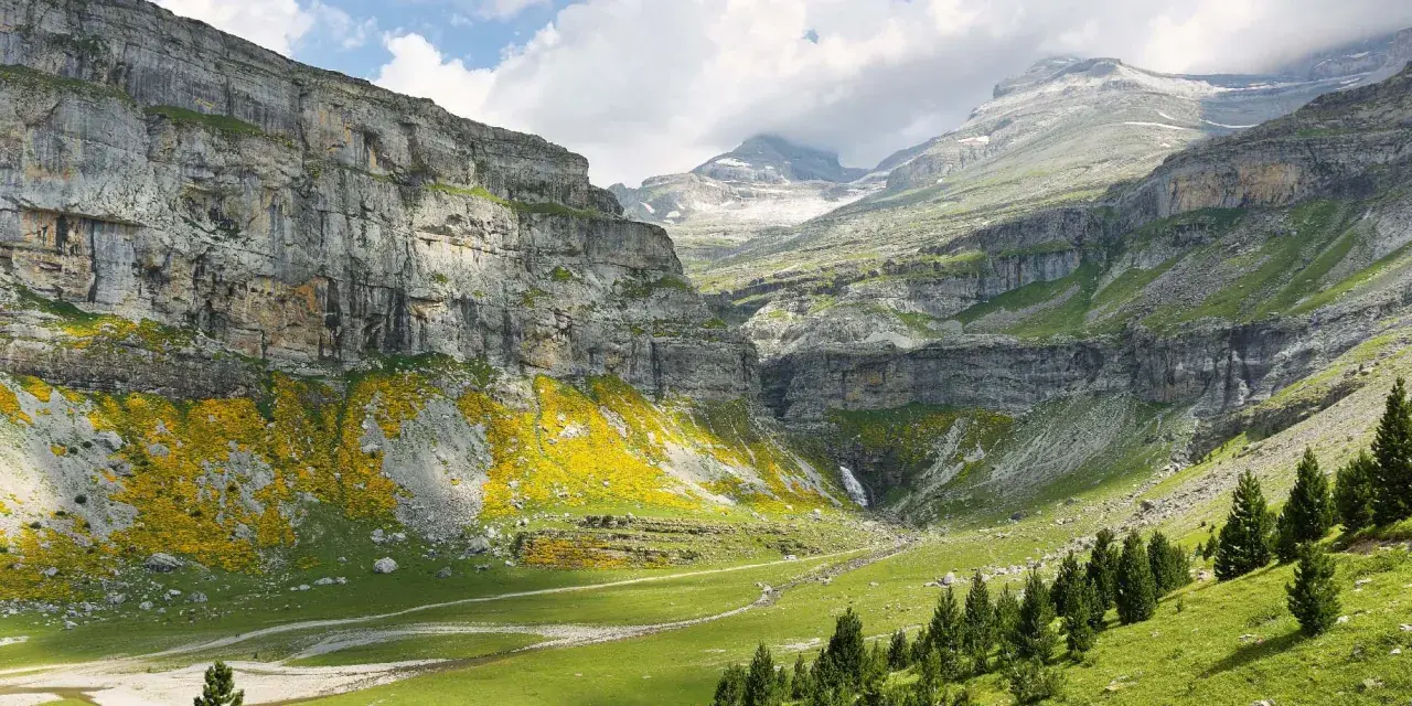 Majestuoso valle de Ordesa con cascada, acantilados cubiertos de flores amarillas y pinos. La cola de caballo de Ordesa cae en la distancia.