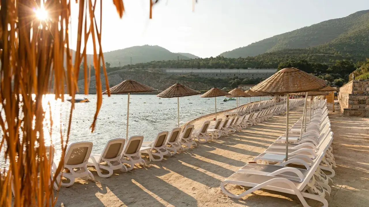 Rzędy leżaków i parasoli na plaży w Bodrum, słońce przebija się przez liście palmy.