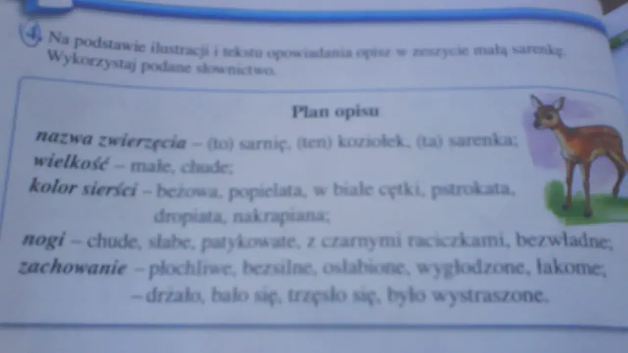 Opis zwierzęcia klasa 3: mała, chuda sarenka o beżowej sierści, płochliwa i wystraszona.