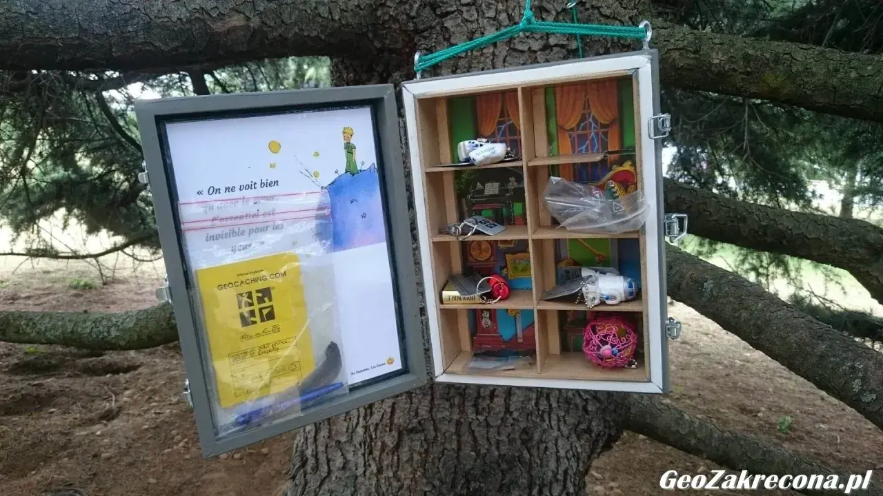 Skrzynka geocachingowa na drzewie z cytatem z "Małego Księcia" i drobnymi skarbami. To właśnie geocaching co to za zabawa!
