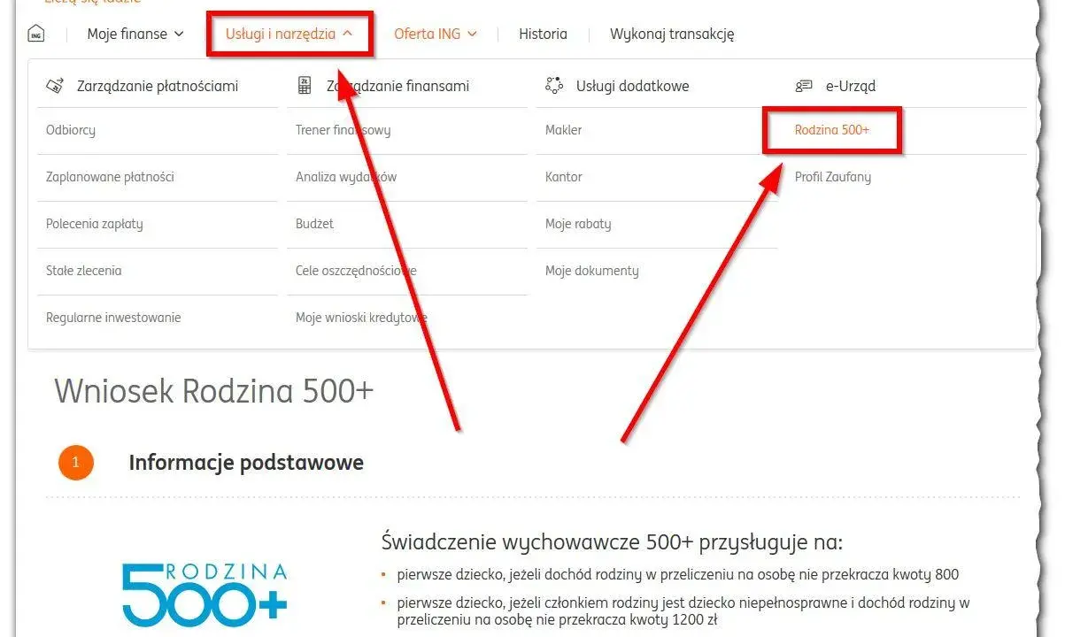 Wniosek Rodzina 500+ w ING. Czy 800 plus wlicza się do dochodu? Informacje o świadczeniu.