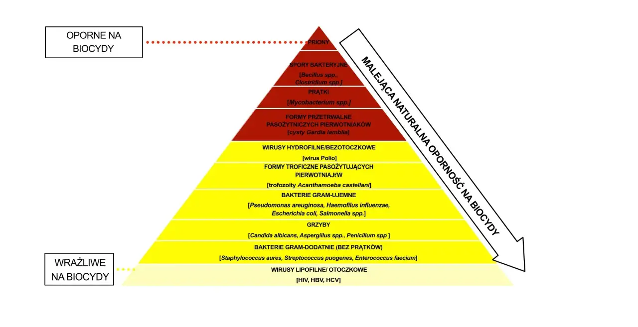 Piramide oporności drobnoustrojów na biocydy: od prionów po wirusy lipofilne.