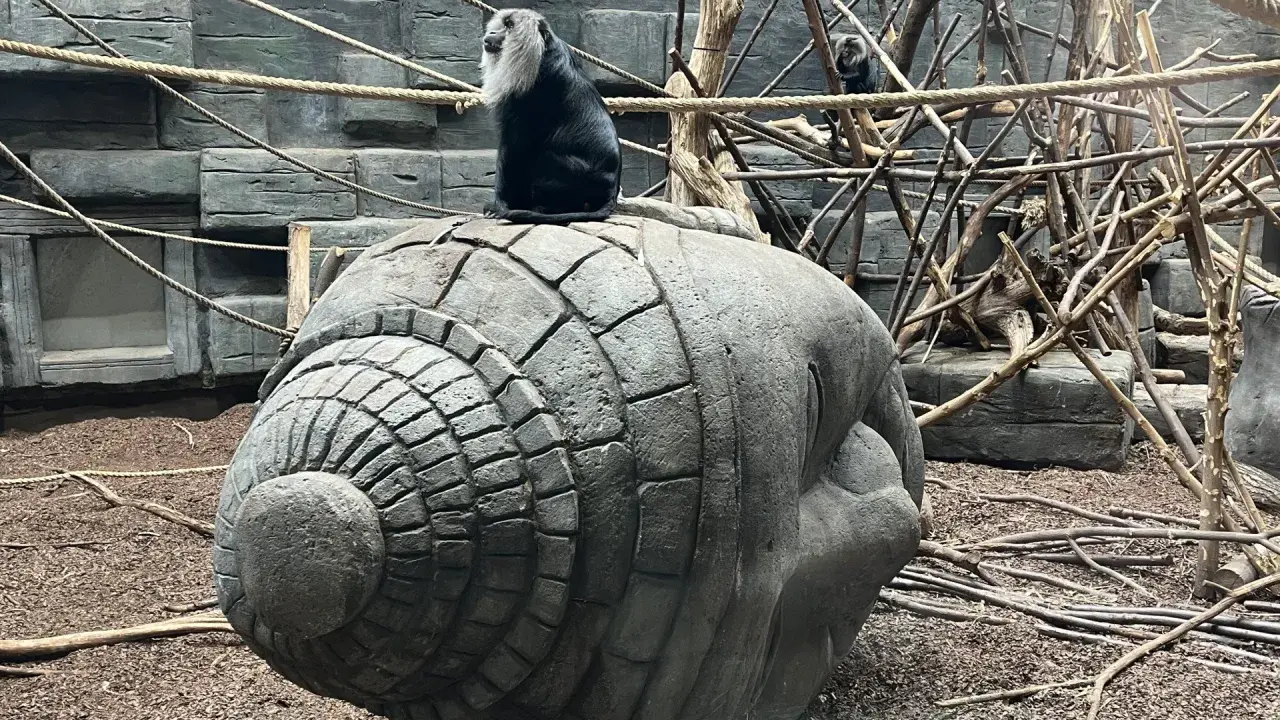Orientarium ZOO Łódź Bilety: Ceny, Zniżki, Jak Kupić i Co Zobaczysz?