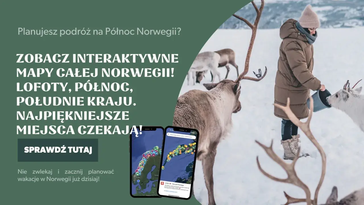 Zima w Norwegii: dziewczynka karmi renifery na tle śnieżnego krajobrazu. Planuj podróż po najpiękniejszych miejscach!