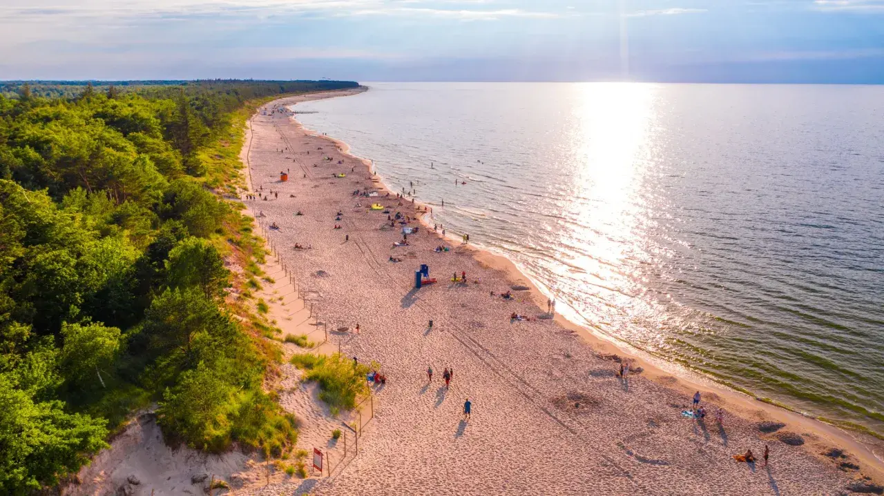 Piękna plaża z lasem sosnowym, idealne miejsce, gdzie pojechać na wakacje w Polsce. Słońce odbija się w wodzie, a ludzie odpoczywają na piasku.