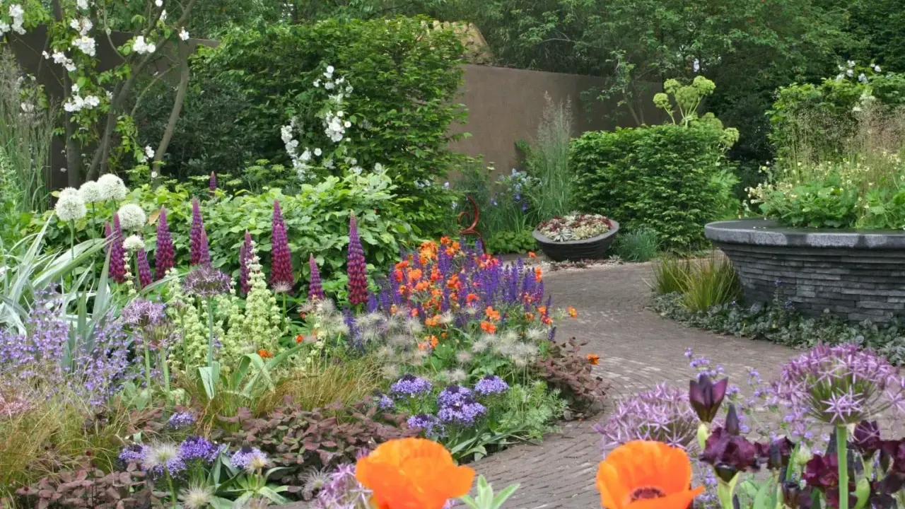 En vacker rabatt med lupiner, vallmo och andra blommor. Perfekt inspiration för att planera rabatt.