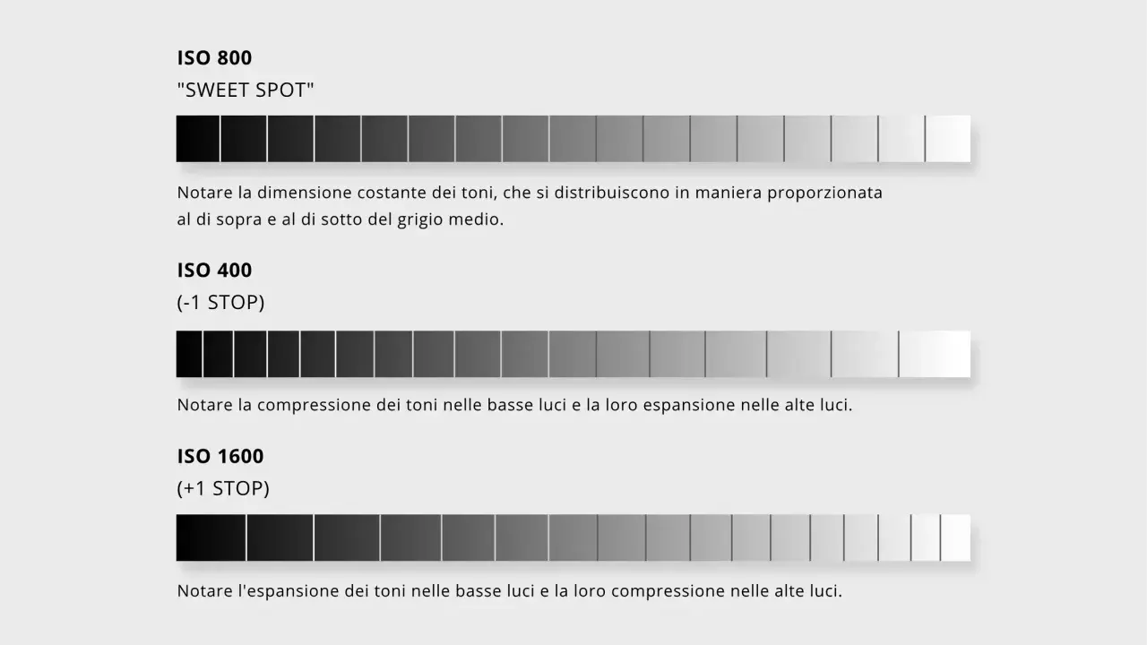 Confronto gamma dinamica: ISO 800 (sweet spot), ISO 400 (meno dettagli ombre), ISO 1600 (meno dettagli alte luci).