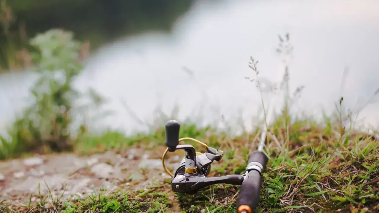 Wędka i kołowrotek leżą na trawie nad wodą, gotowe do połowu. Czas na tarło ryb!