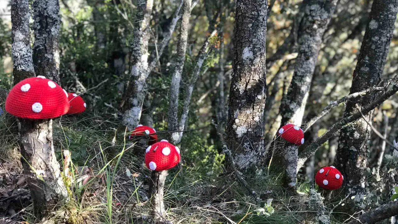 Hongos rojos tejidos adornan la ruta de los duendes en el bosque.