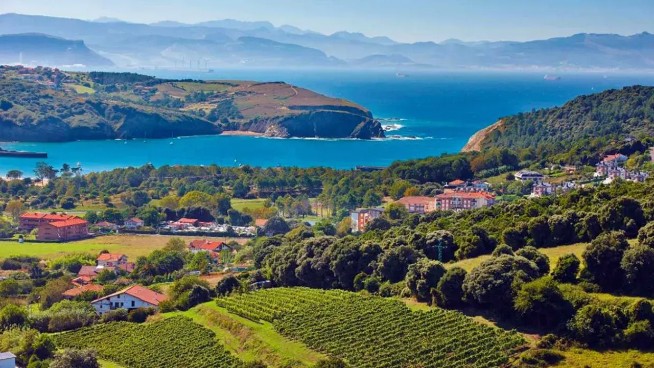 Viñedos y casas con tejados rojos se extienden hasta la costa vasca, un paisaje que evoca el sabor del chacolí de Bilbao.