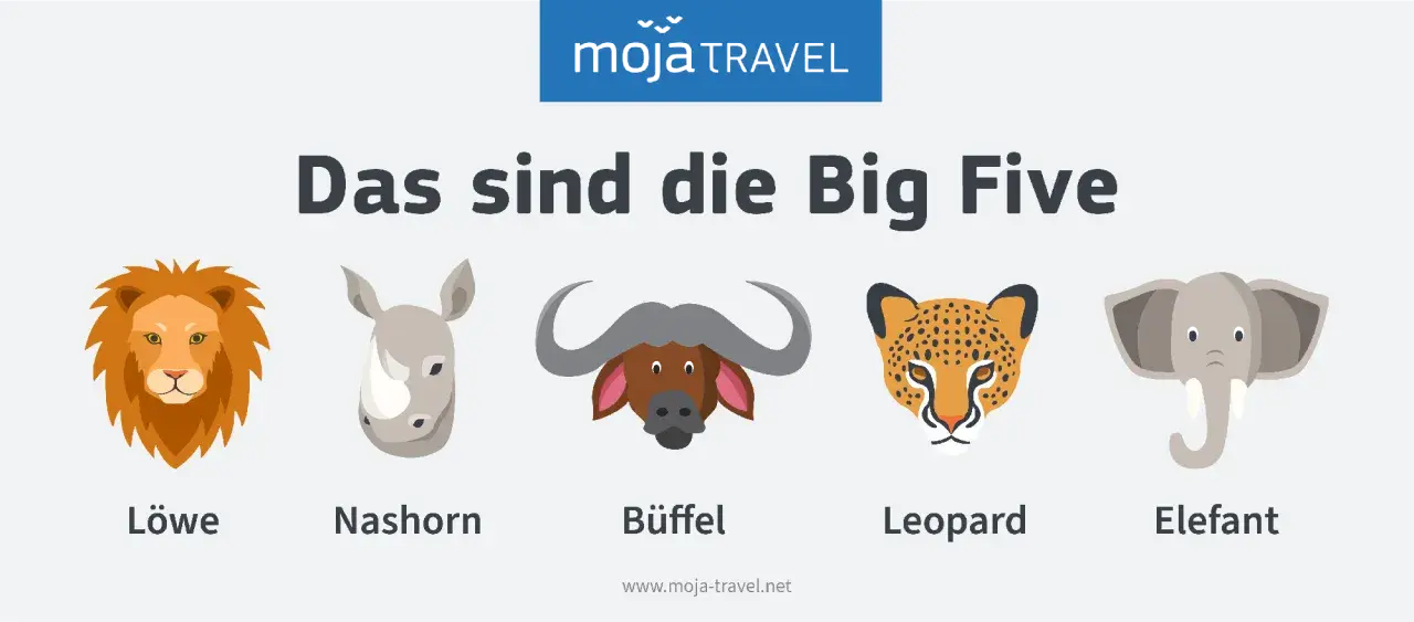 Die Big Five Afrikas: Löwe, Nashorn, Büffel, Leopard und Elefant als Illustrationen.