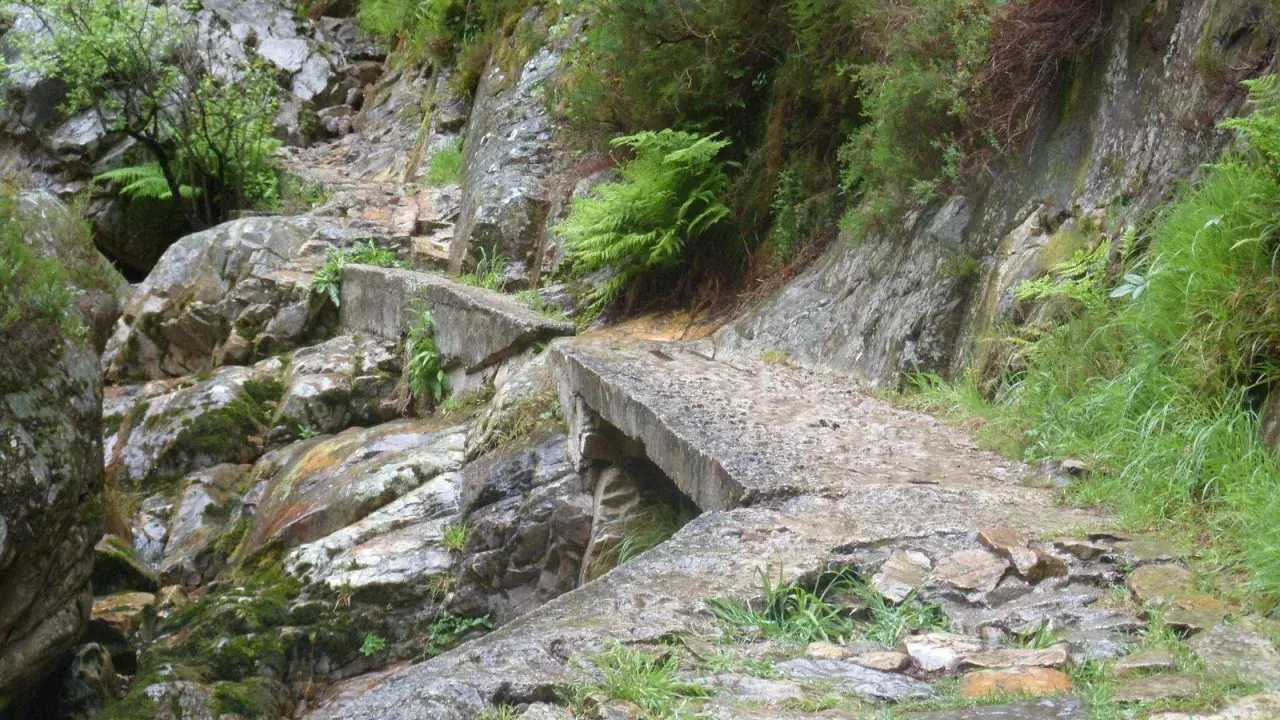 Un puente de hormigón deteriorado cruza un arroyo rocoso en la ruta del alba, rodeado de vegetación exuberante y rocas cubiertas de musgo.