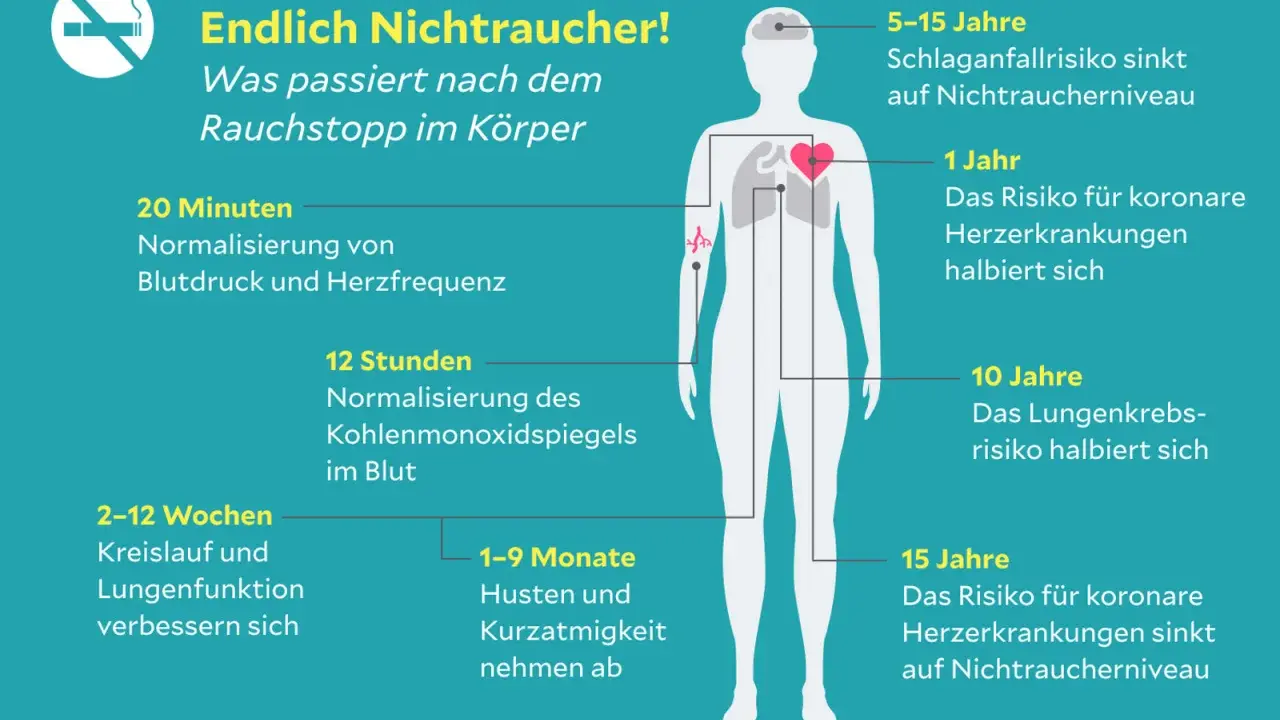 Nach Rauchstopp verbessern sich Kreislauf und Lungenfunktion, wo die Bronchien sind. Husten und Kurzatmigkeit nehmen ab.