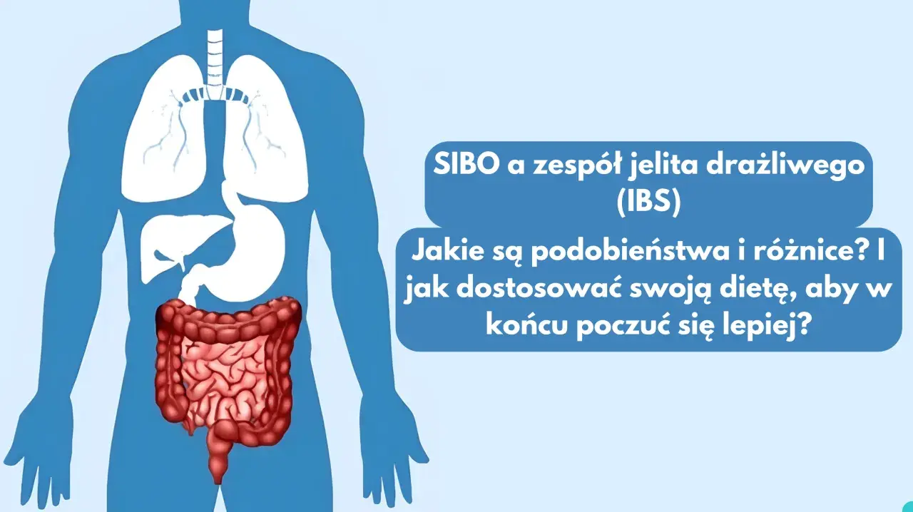 Sylwetka człowieka z widocznymi płucami, żołądkiem i jelitami.