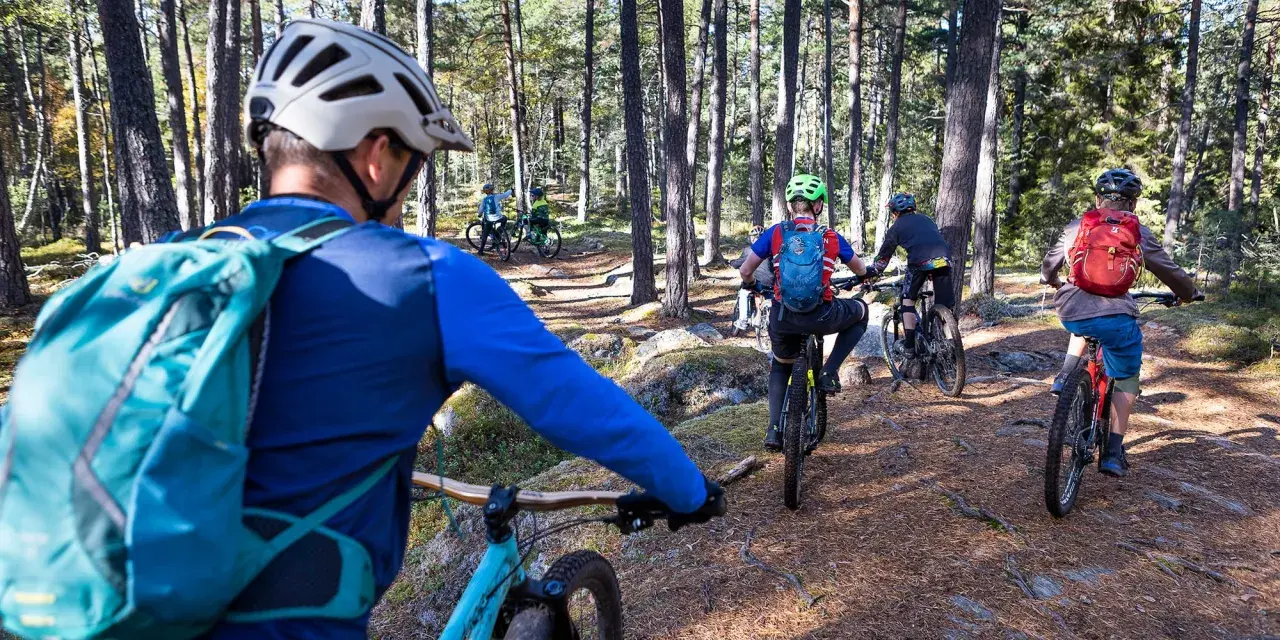 Grupp cyklar på en skogsstig i Falun. Solen lyser genom träden och skapar skuggor på marken.