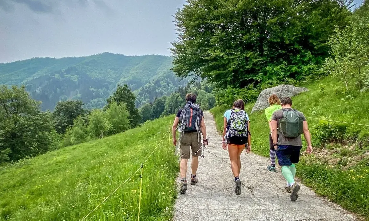 Un gruppo di amici fa trekking vicino Milano, immersi nel verde lussureggiante delle colline.