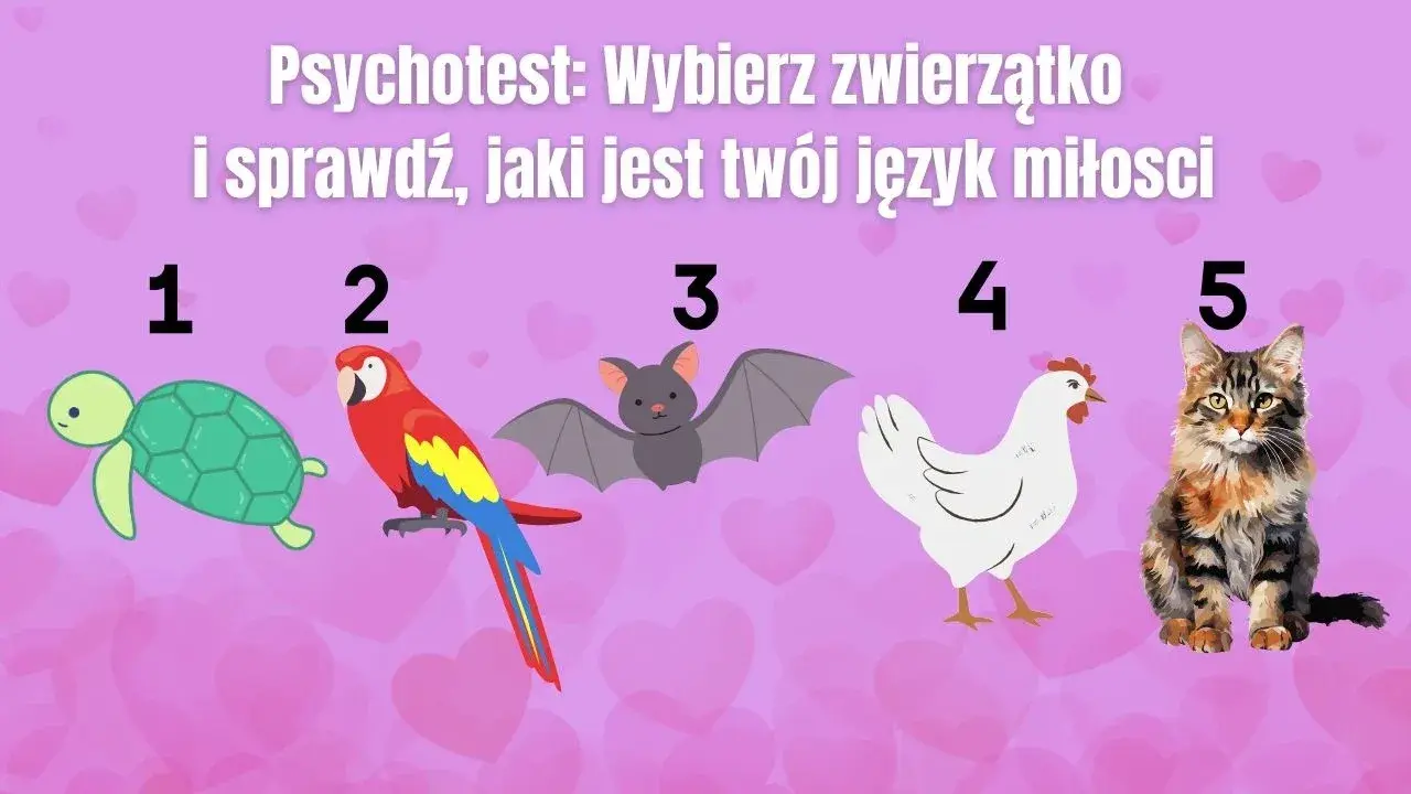 Psychotest: wybierz zwierzątko i sprawdź, jaki jest twój język miłości. Żółw, papuga, nietoperz, kura i kot czekają na Ciebie!