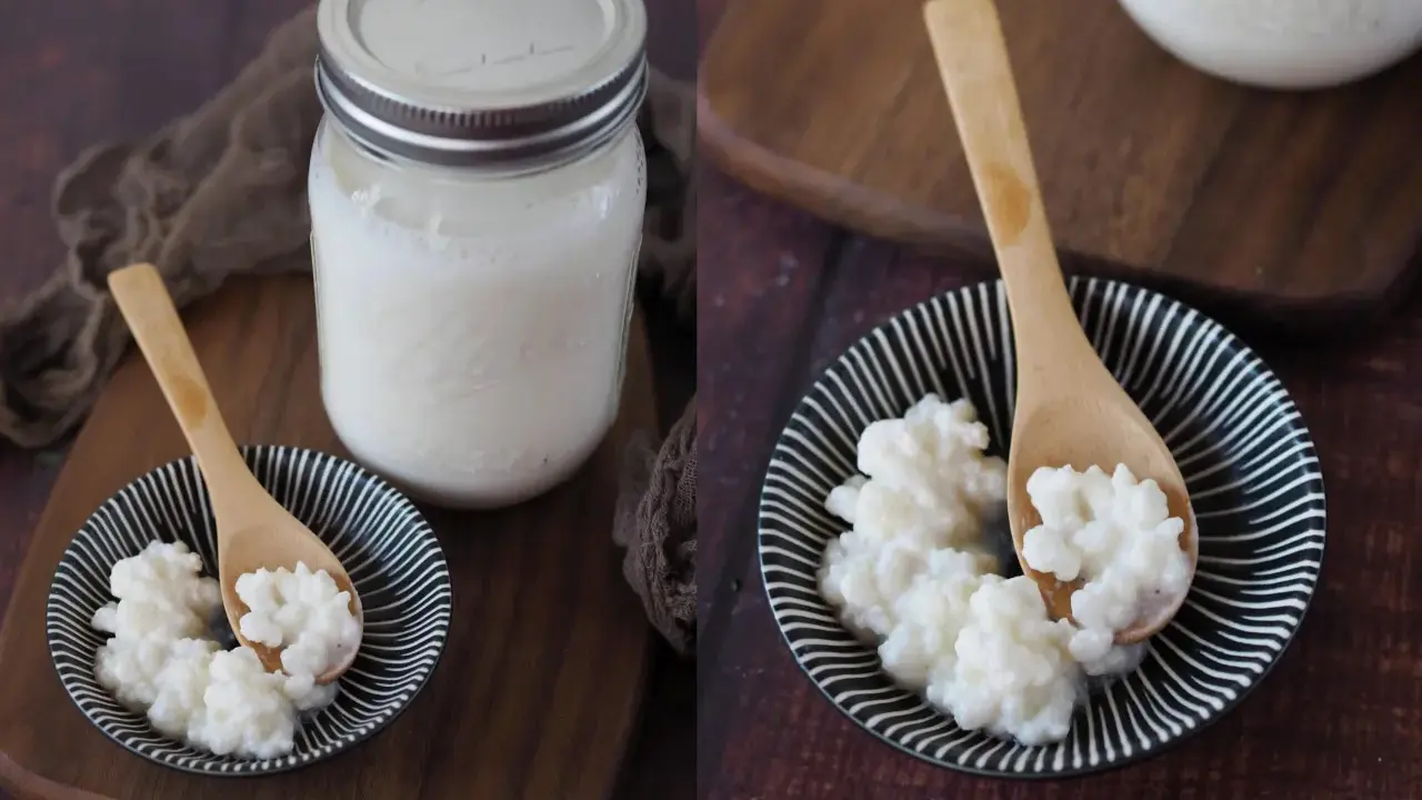 Kefir-Körner auf einem Löffel, bereit, Kefir selber zu machen. Daneben ein Glas mit fertigem Kefir.