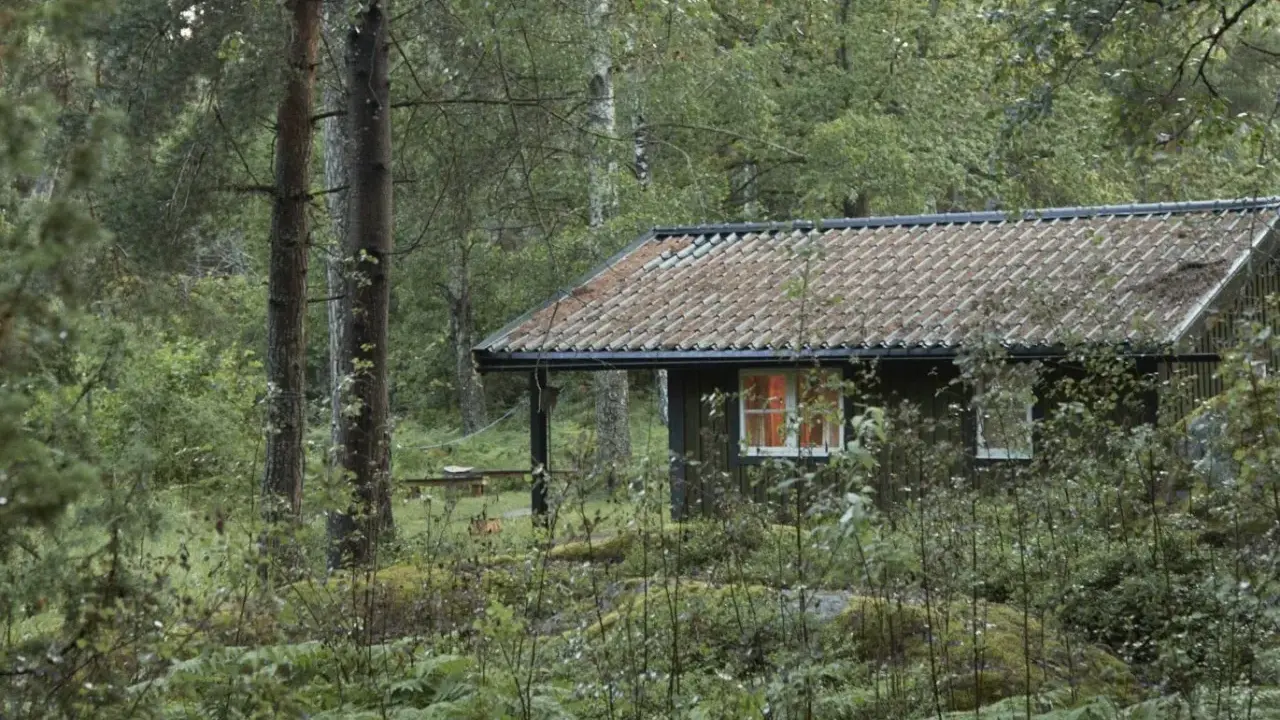 En mysig stuga i en grinda stugby, omgiven av frodig skog och ormbunkar. Ljuset från fönstret lyser varmt.