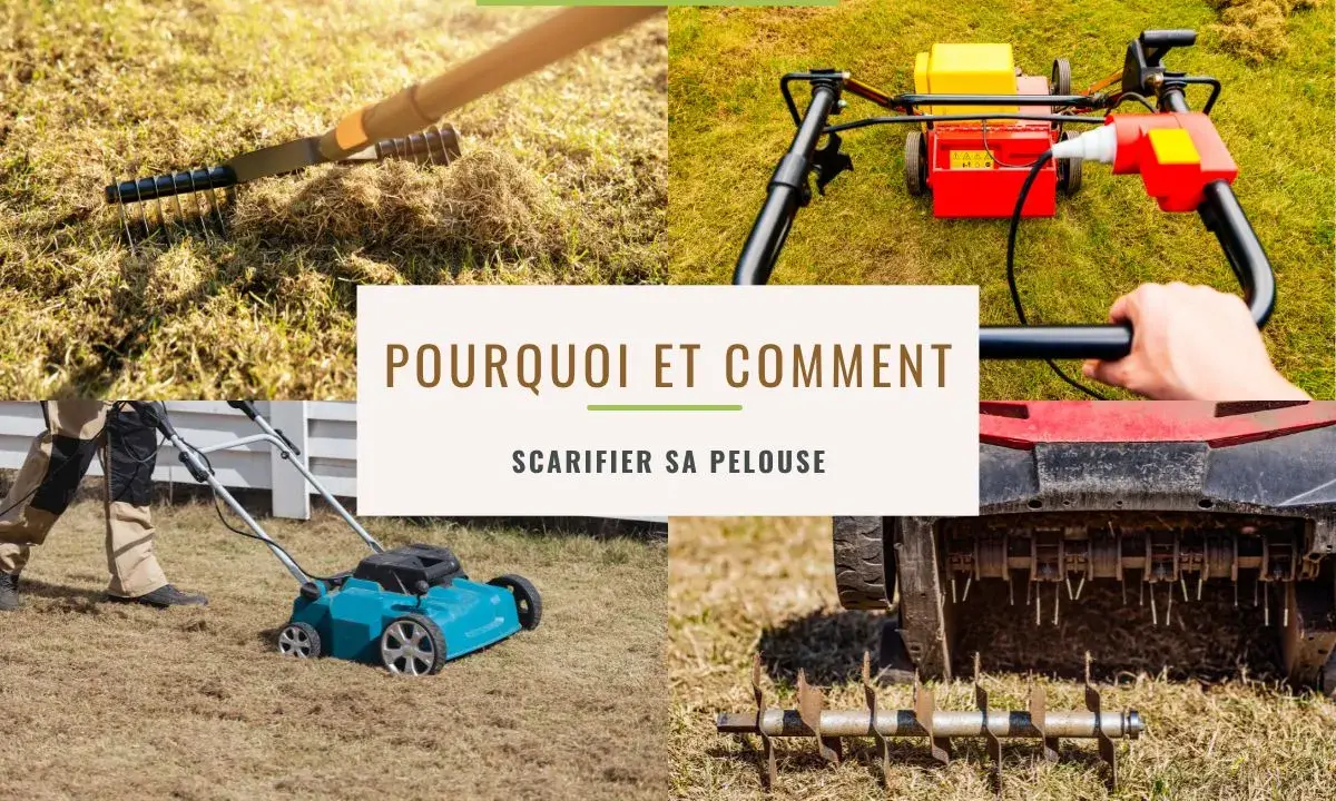 Le scarificateur, un outil essentiel pour savoir quand scarifier pelouse. Il aère le sol et retire la mousse pour une pelouse saine.